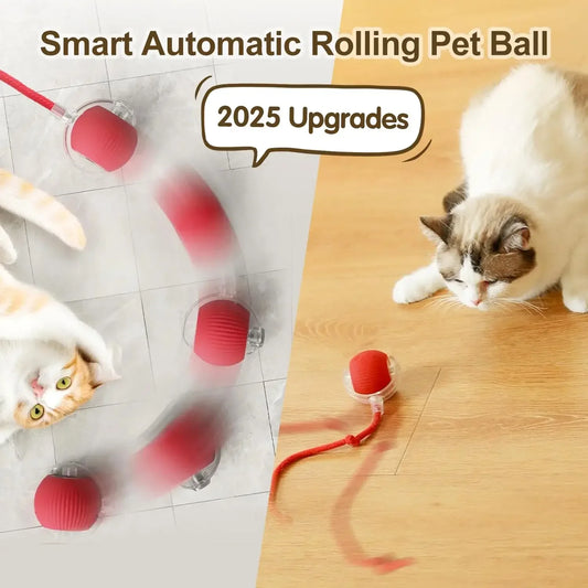 Interactive Rolling Ball for pet