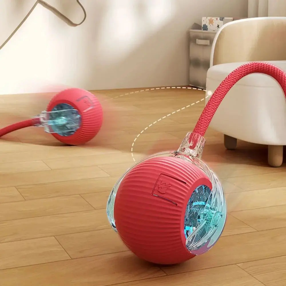 Smart Rolling Cat Ball Toy