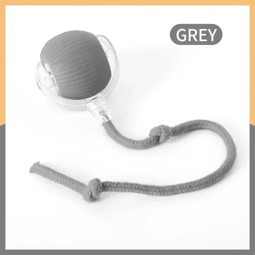 Smart Rolling Cat Ball Toy