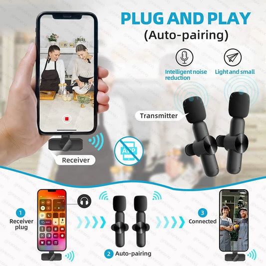 Portable Wireless Mic