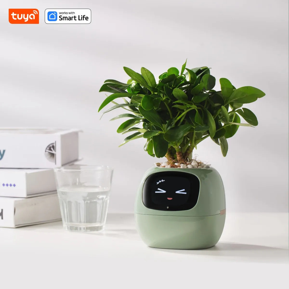 Smart Planter AI Plant Pot with 49+ Expressions & 7 Sensors