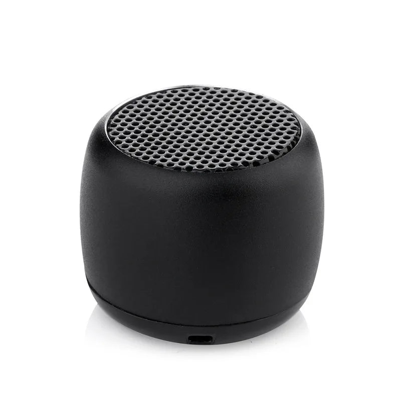 TWS Mini Bluetooth Speaker