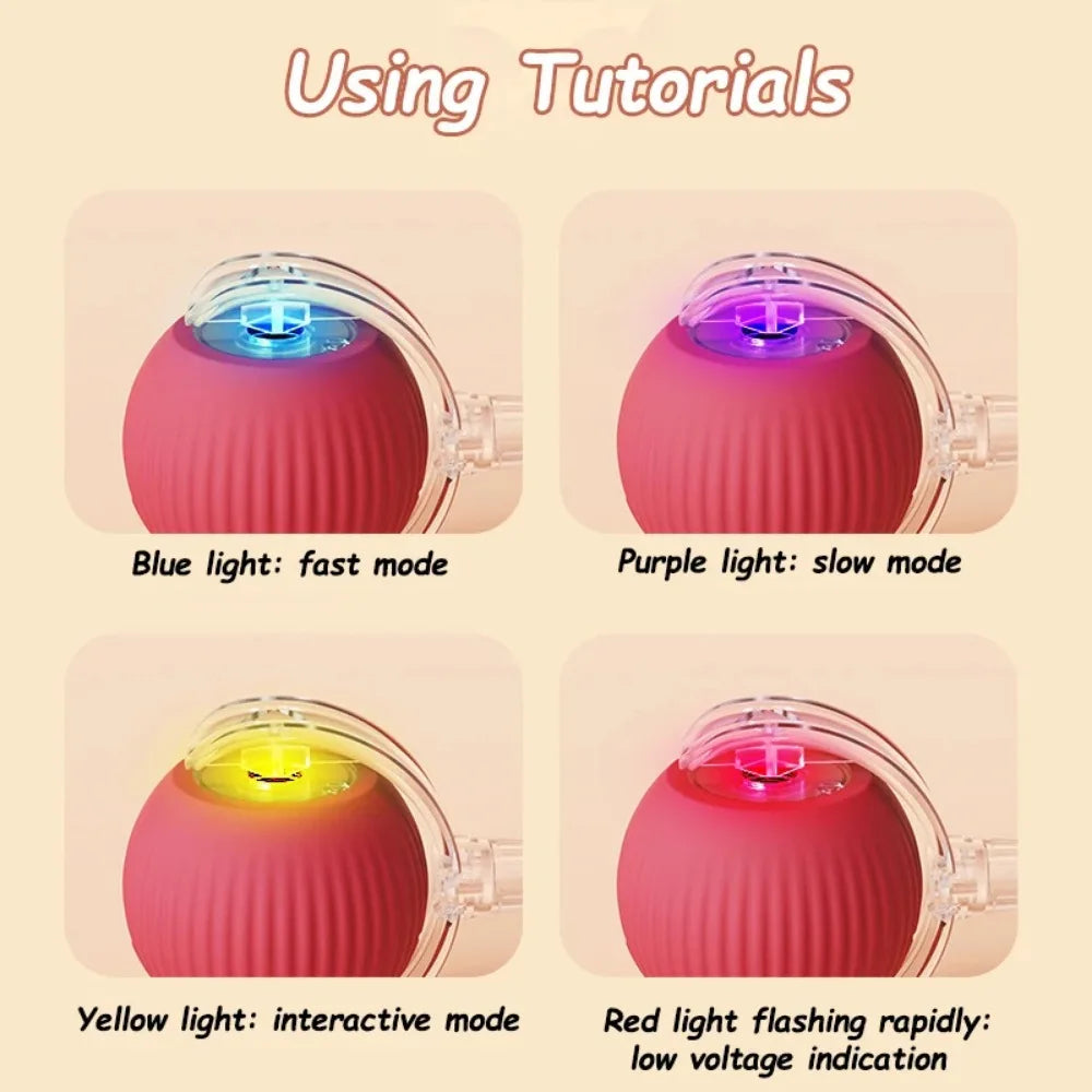 Smart Rolling Cat Ball Toy