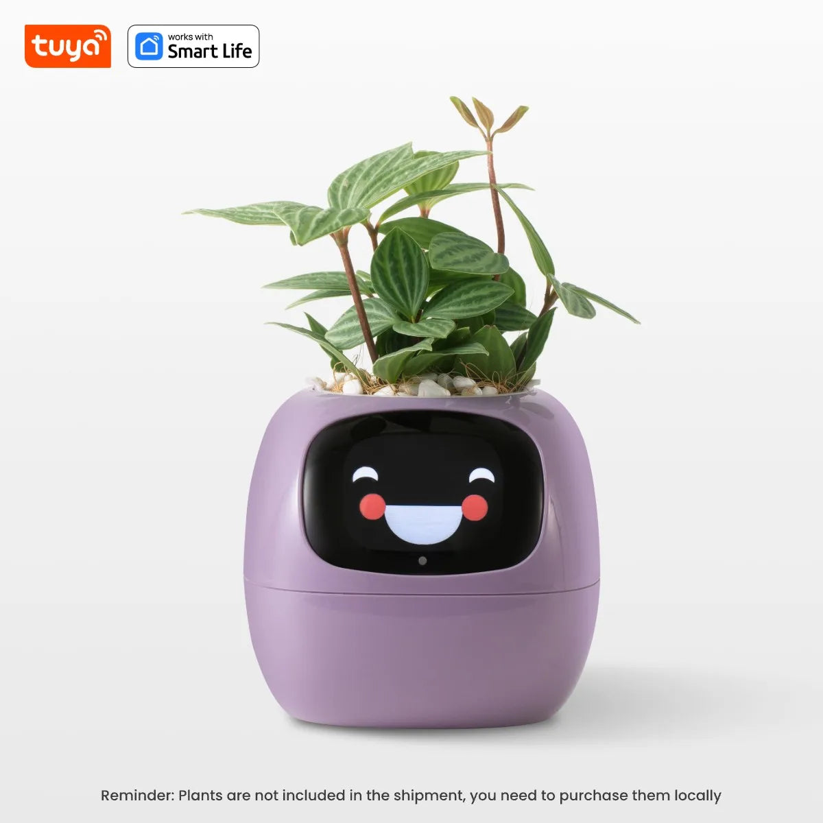 Smart Planter AI Plant Pot with 49+ Expressions & 7 Sensors