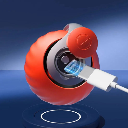 Interactive Moving Cat Ball