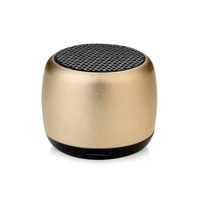 TWS Mini Bluetooth Speaker