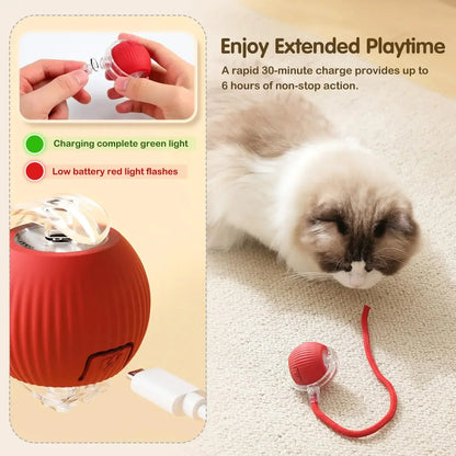 Interactive Rolling Ball for pet