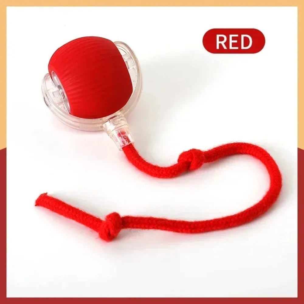 Smart Rolling Cat Ball Toy