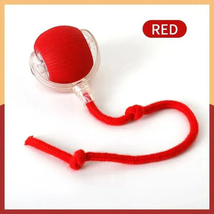 Smart Rolling Cat Ball Toy