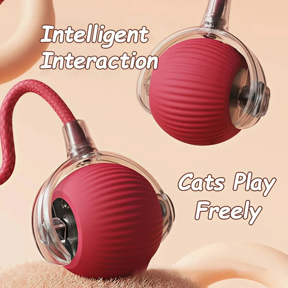 Smart Rolling Cat Ball Toy