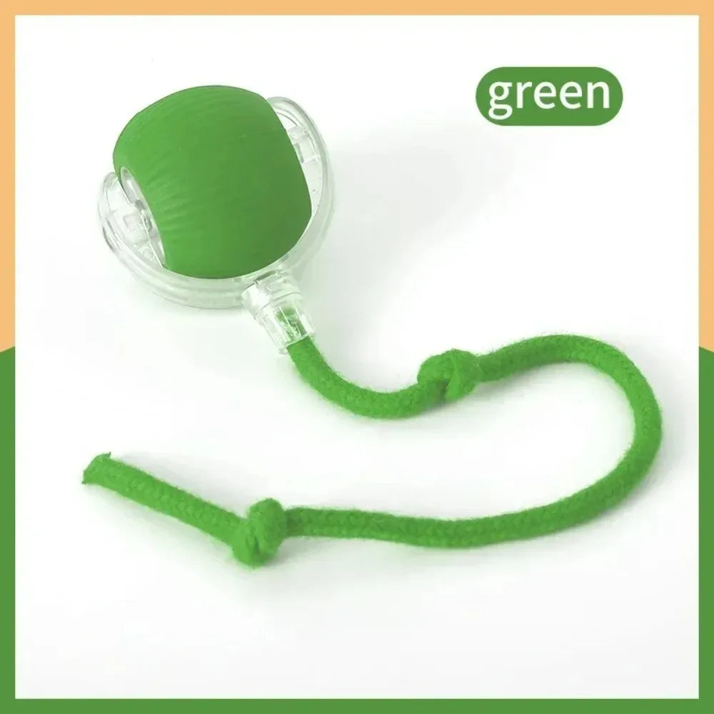 Smart Rolling Cat Ball Toy