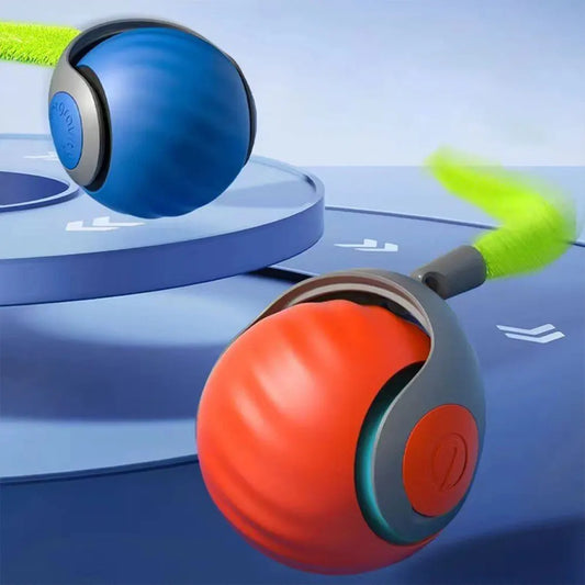 Interactive Moving Cat Ball