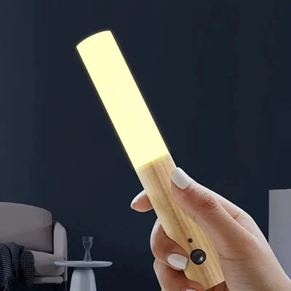Rechargeable Motion Sensor Night Light  LED Wall Lamp