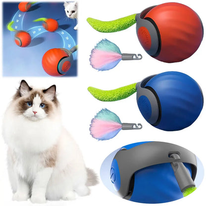 Interactive Moving Cat Ball