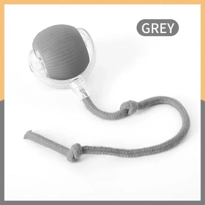 Smart Rolling Cat Ball Toy