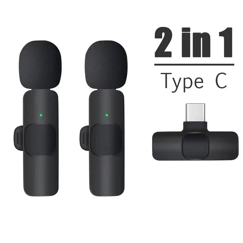 Portable Wireless Mic