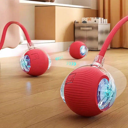 Interactive Rolling Ball for pet