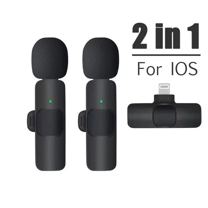 Portable Wireless Mic
