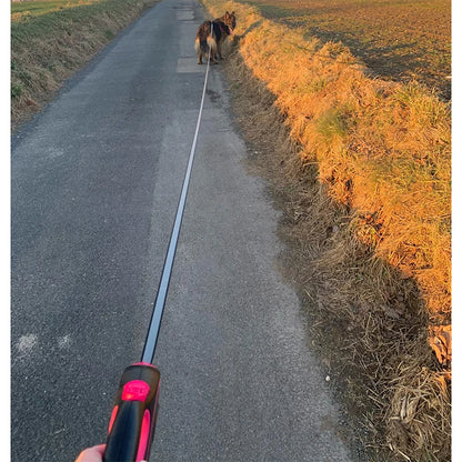 Retractable Leash for Dogs