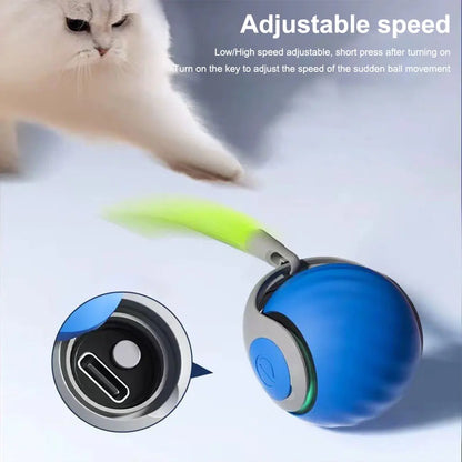 Interactive Moving Cat Ball