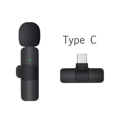 Portable Wireless Mic
