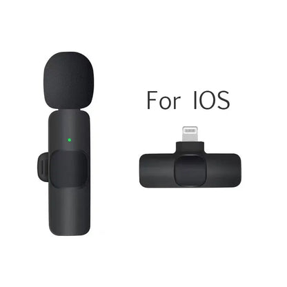 Portable Wireless Mic
