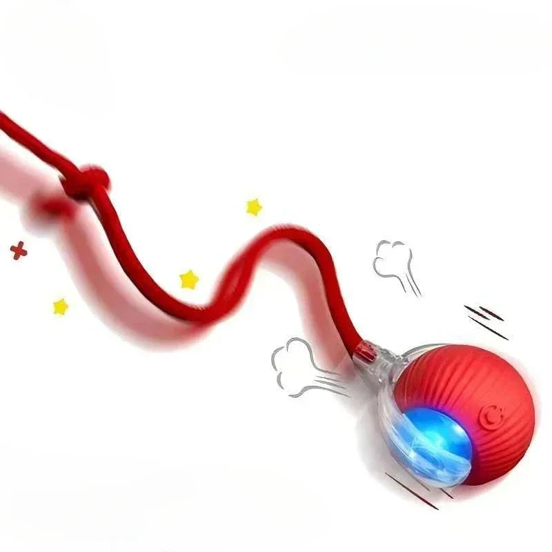 Interactive Rolling Ball for pet