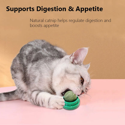 Spinning Catnip Mint Ball