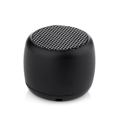 TWS Mini Bluetooth Speaker