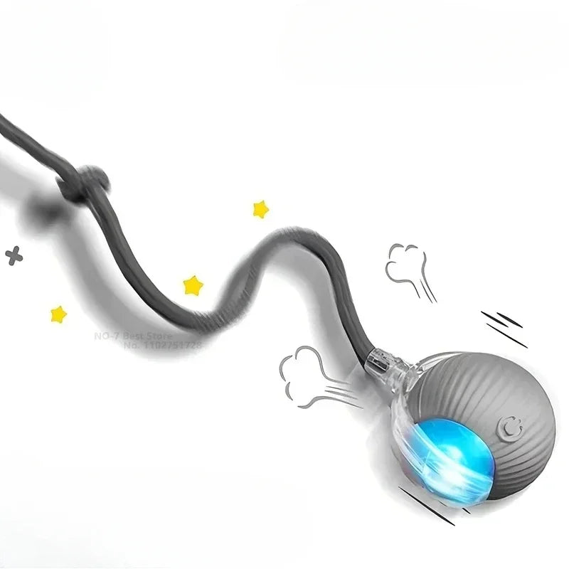 Interactive Rolling Ball for pet