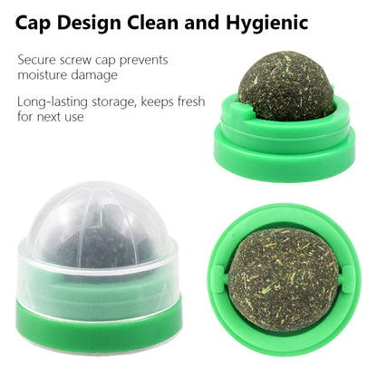 Spinning Catnip Mint Ball
