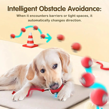 Interactive Rolling Ball for pet