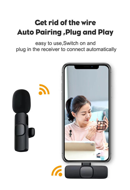 Portable Wireless Mic