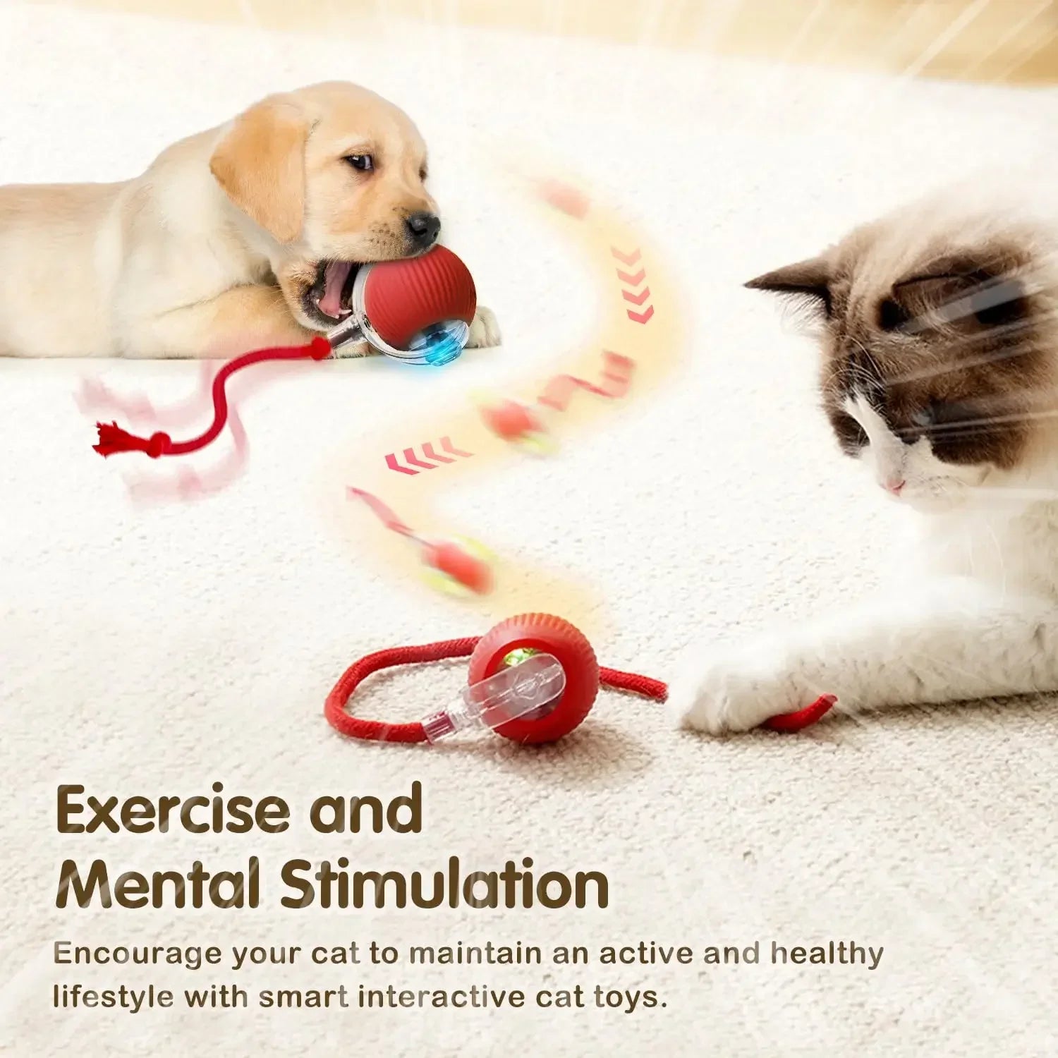 Interactive Rolling Ball for pet
