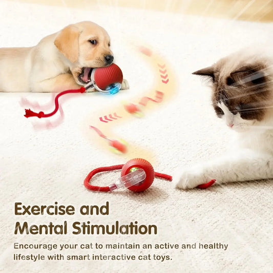 Interactive Rolling Ball for pet