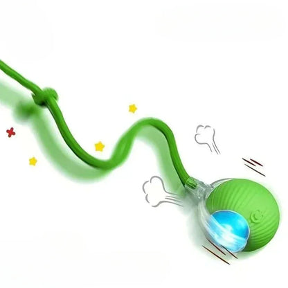 Interactive Rolling Ball for pet