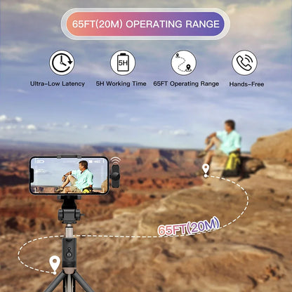 Portable Wireless Mic