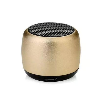 TWS Mini Bluetooth Speaker