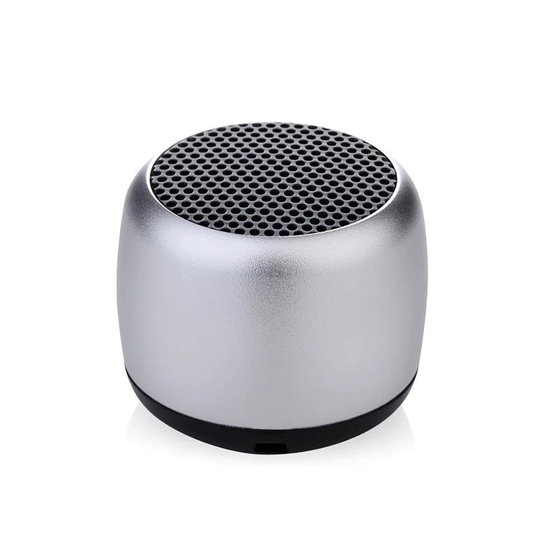 TWS Mini Bluetooth Speaker