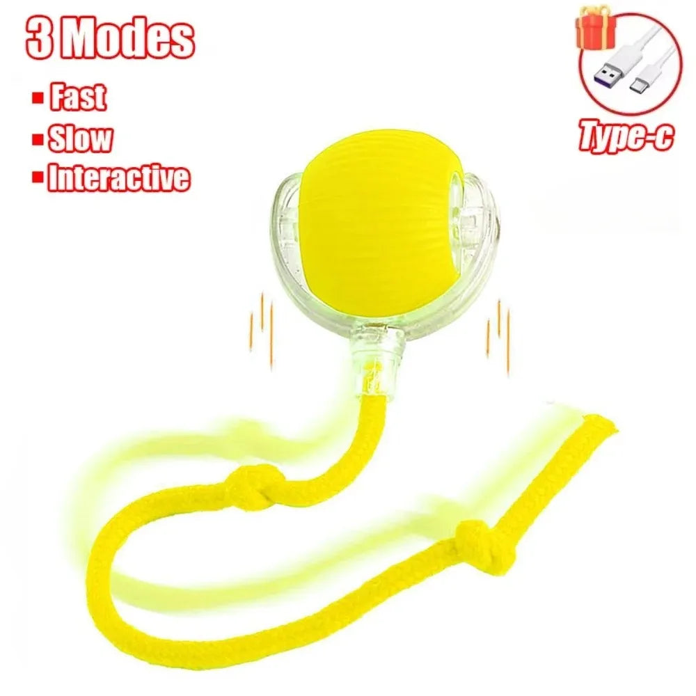 Smart Rolling Cat Ball Toy
