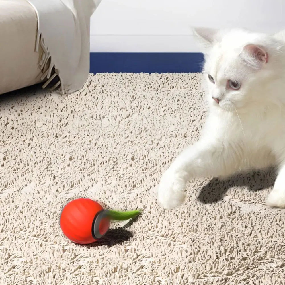Interactive Moving Cat Ball