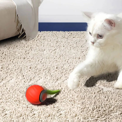 Interactive Moving Cat Ball